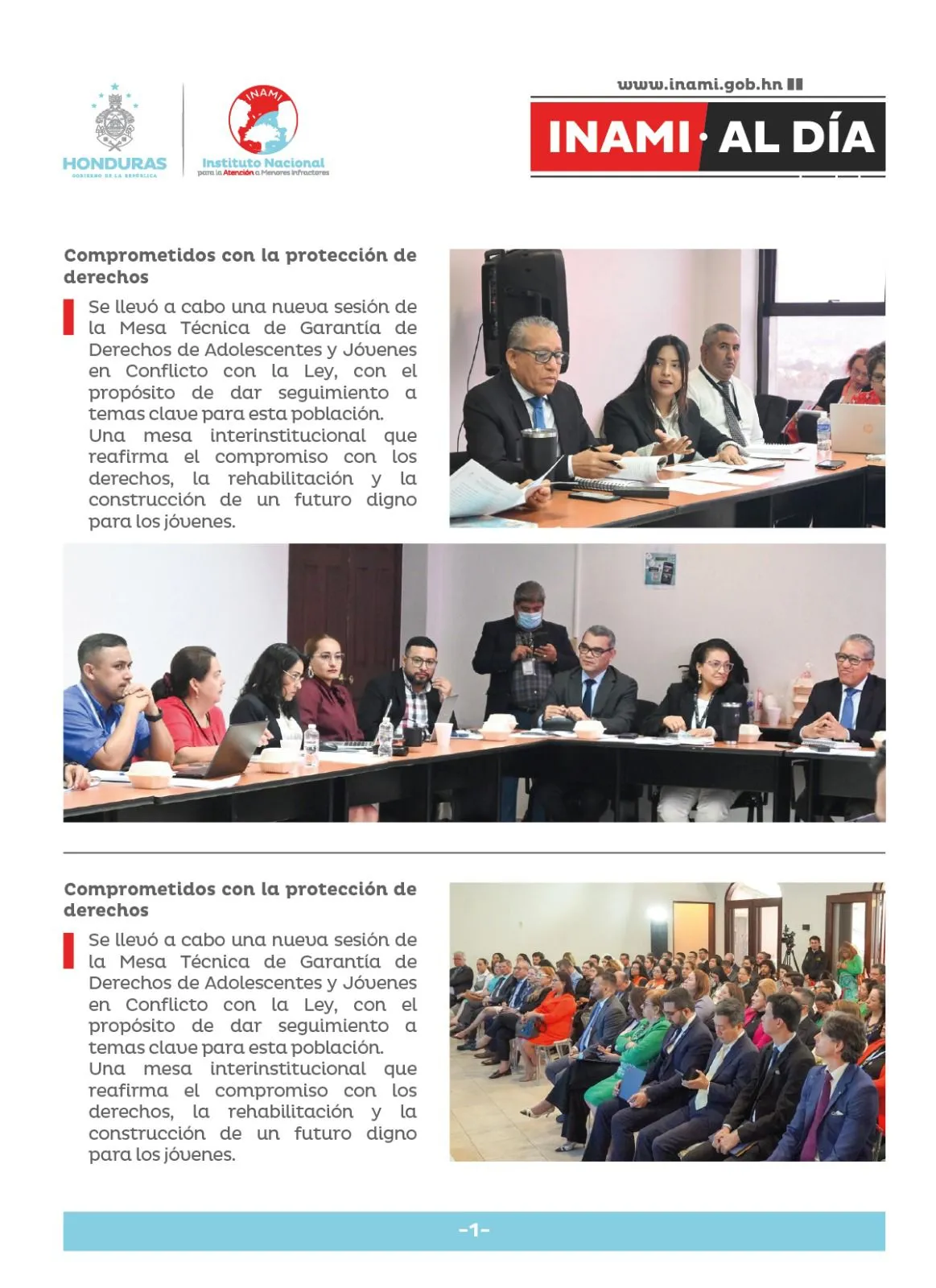 Descripción de la imagen 2