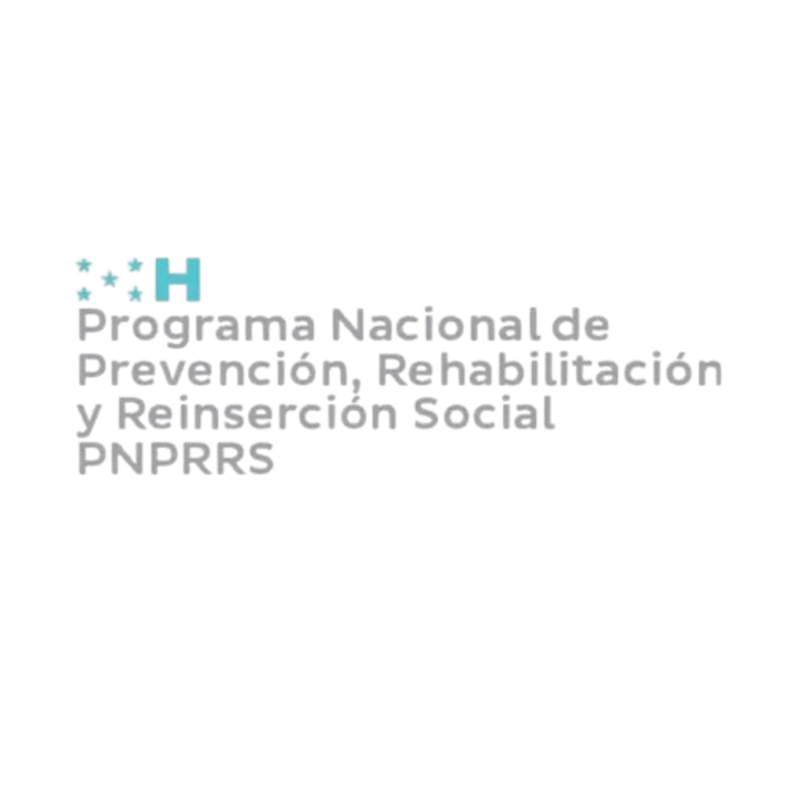 programa nacional de prevención rehabilitación y reinserción social